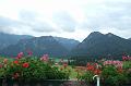 2011-08- (470)